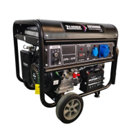 Бензиновый генератор Zammer S8500CXE 4-х тактный фото