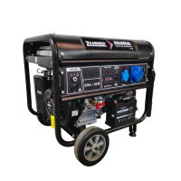 Бензиновый генератор Zammer S6500CXE фото