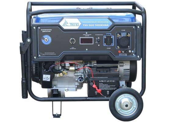 Бензиновый генератор ТСС SGG 5000EHNA синхронный фото