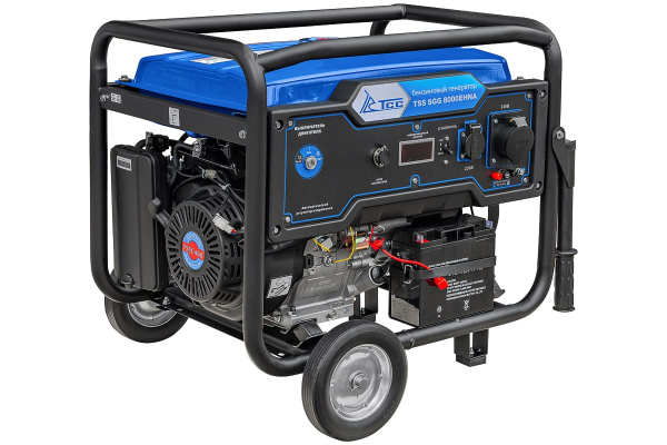 Бензиновый генератор ТСС SGG 8000EHNA синхронный фото